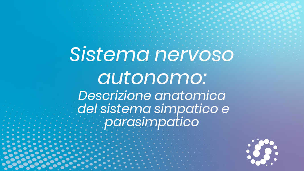 Sistema Nervoso Autonomo (SNA): suddivisione anatomica