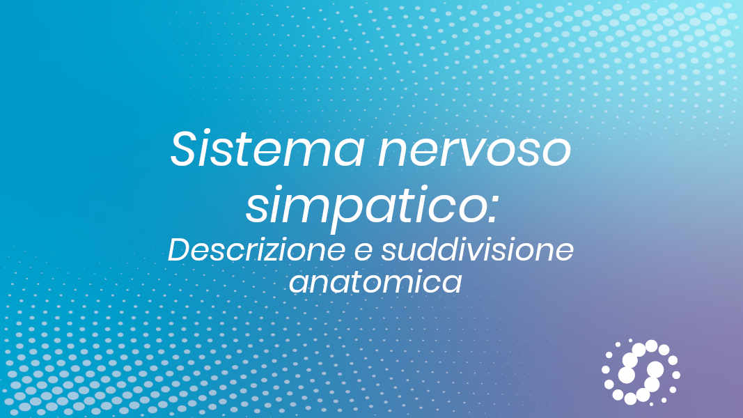 Sistema nervoso simpatico (ortosimpatico): descrizione anatomica