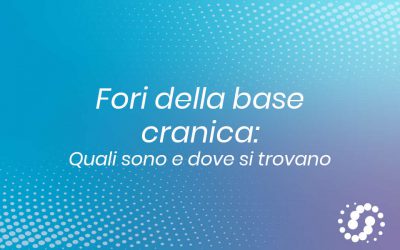 Fori della base cranica: quali sono e dove si trovano