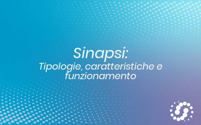 Sinapsi: tipologie, caratteristiche e funzionamento