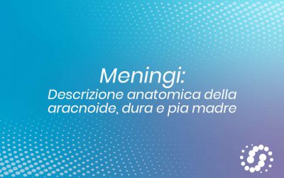 Meningi: decorso e descrizione anatomica