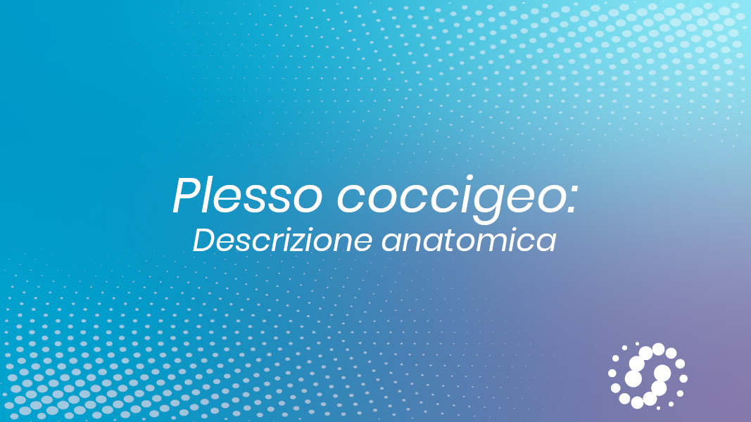 Plesso coccigeo: descrizione anatomica