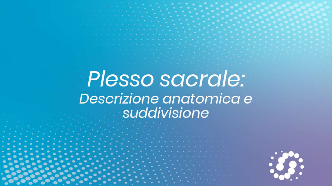 Plesso sacrale: descrizione e suddivisione