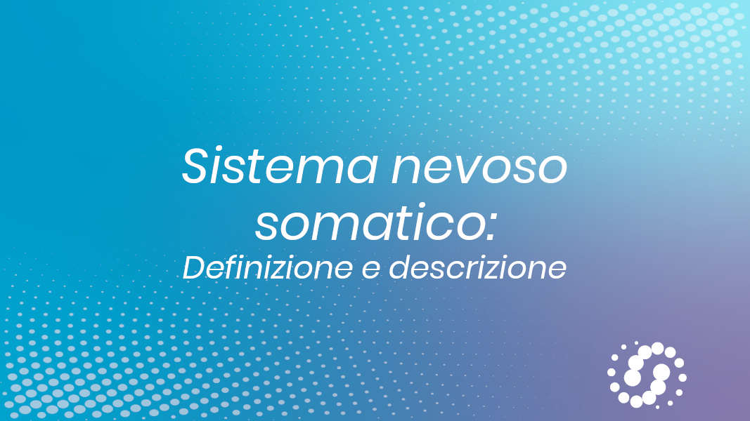 Sistema nervoso somatico (volontario): definizione e descrizione