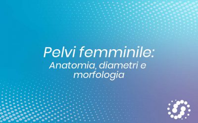 Pelvi femminile: anatomia, diametri e morfologia