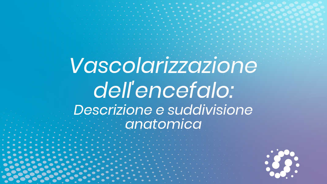 Vascolarizzazione encefalo: suddivisione e descrizione anatomica