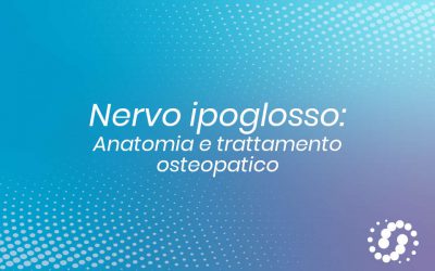 Nervo ipoglosso: origine, funzione e decorso