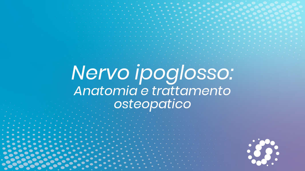 Nervo ipoglosso: origine, funzione e decorso