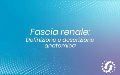 Fascia Renale: definizione e descrizione anatomica