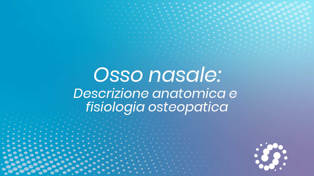Osso Nasale: descrizione, cenni e rapporti anatomici