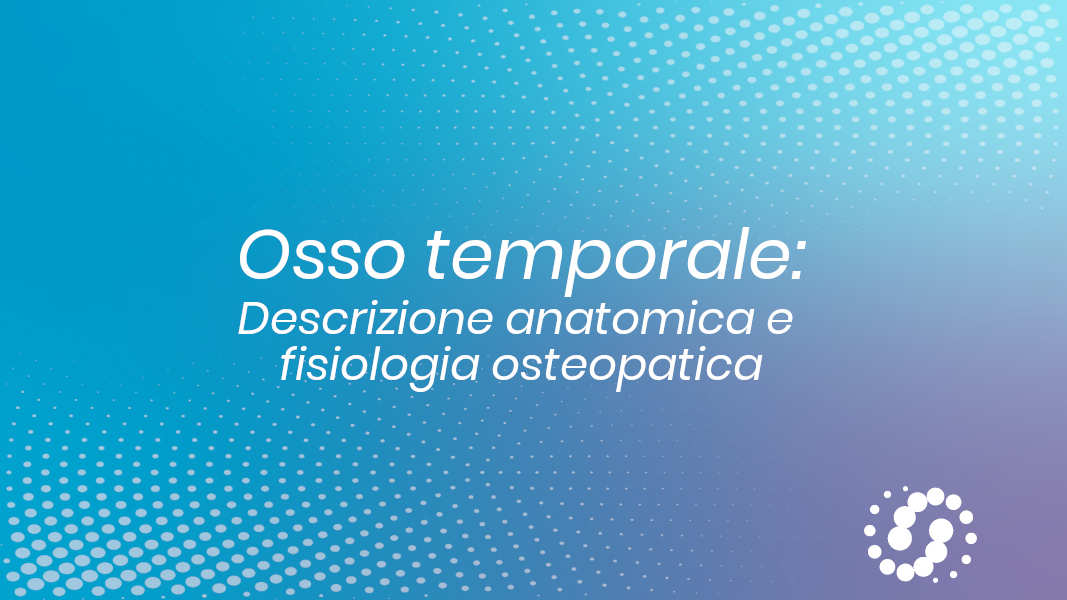 Osso Temporale: descrizione, cenni e rapporti anatomici