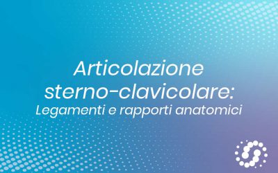 Articolazione Sterno-Clavicolare: descrizione anatomica
