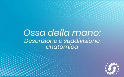 Ossa della Mano: descrizione e suddivisione anatomica