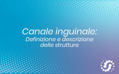 Canale inguinale: definizione e descrizione delle strutture