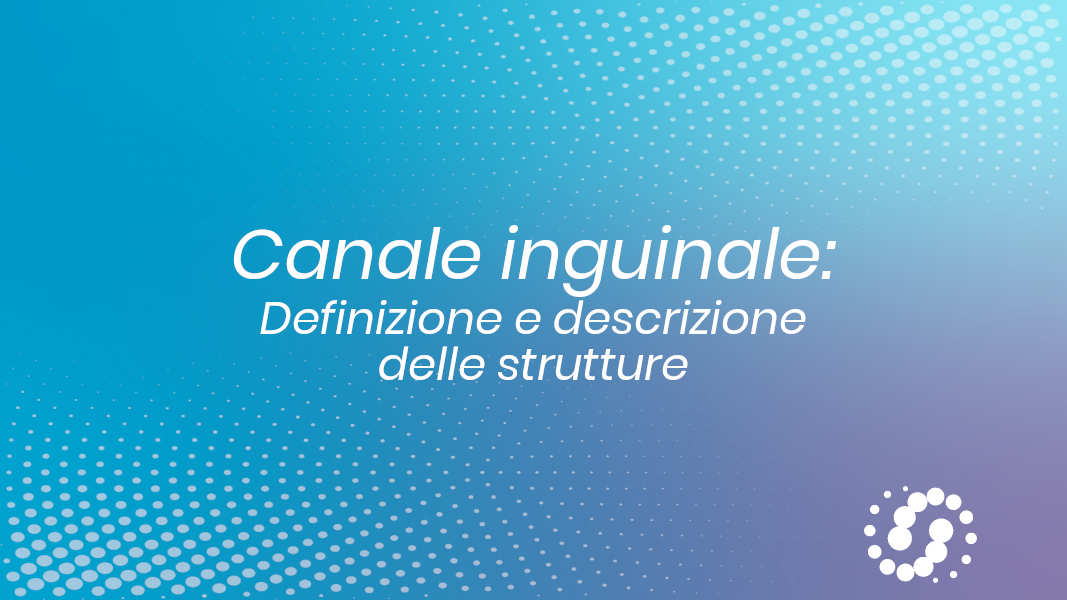 Canale inguinale: definizione e descrizione delle strutture
