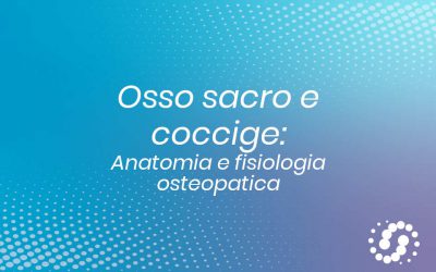 Sacro e coccige: descrizione e rapporti anatomici