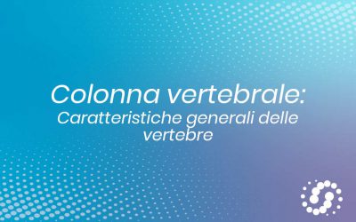 Vertebre: suddivisione e caratteristiche comuni e peculiari