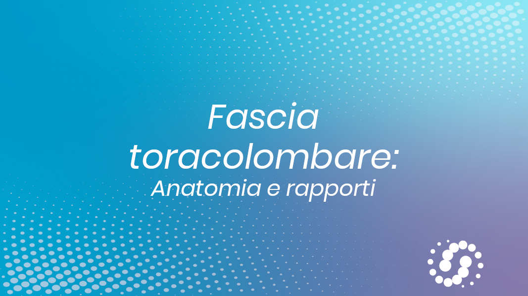 Fascia toracolombare: dove si trova, anatomia e rapporti