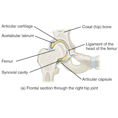 De la durerile articulare stanobol. Durerile articulare | Cauze, simptome si tratamente – Voltaren