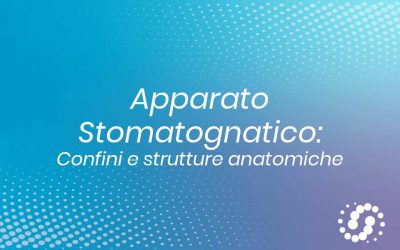 Apparato stomatognatico: Confini e strutture anatomiche
