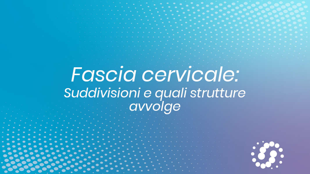 Fascia cervicale: le suddivisioni e quali strutture avvolge