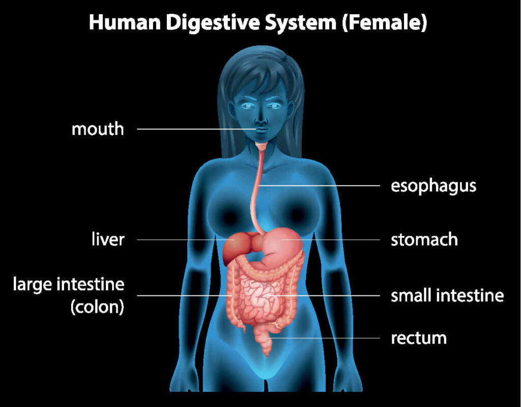 Disturbi funzionali gastrointestinali