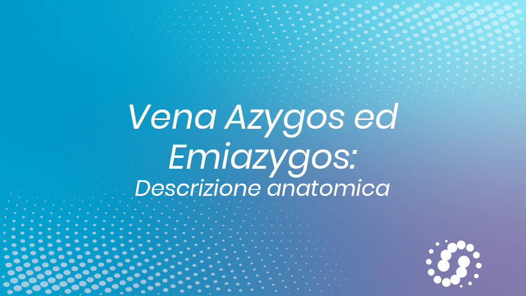 Vena azygos e vena emiazygos: descrizione anatomica