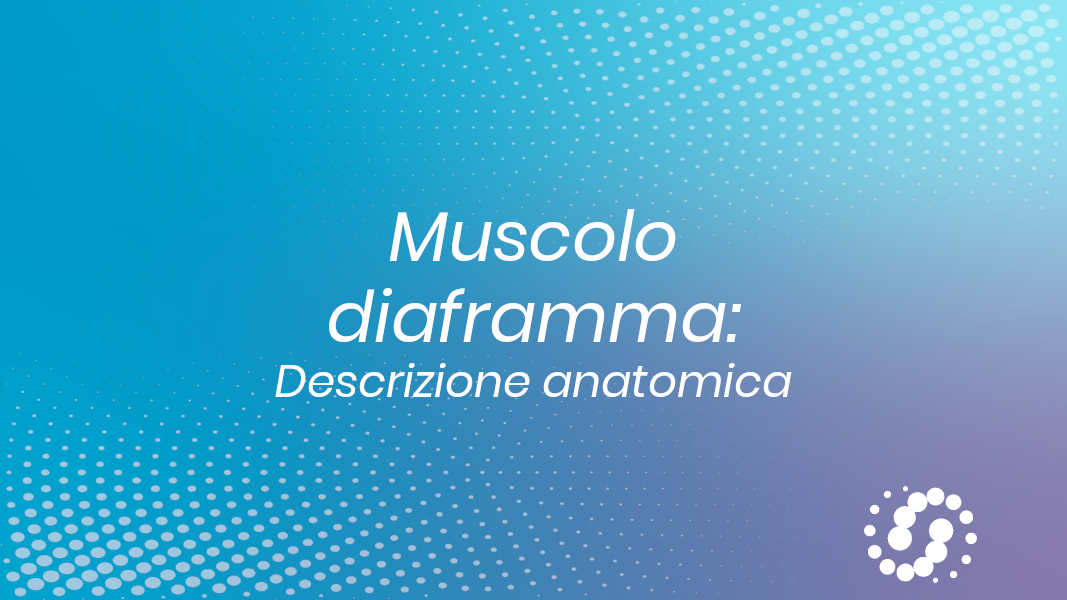 Muscolo diaframma toracico: anatomia
