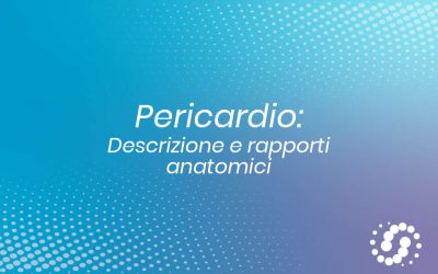 Pericardio: descrizione e rapporti anatomici