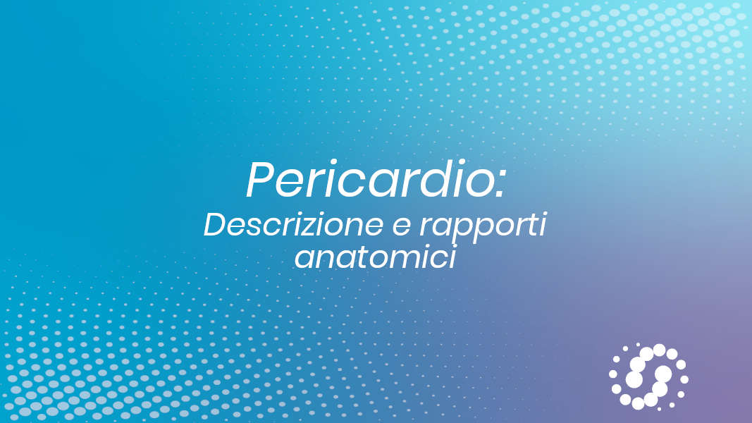 Pericardio: descrizione e rapporti anatomici