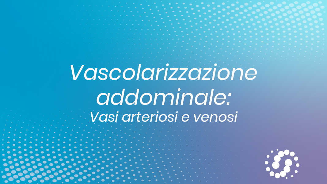 Vascolarizzazione addominale: vasi arteriosi e venosi